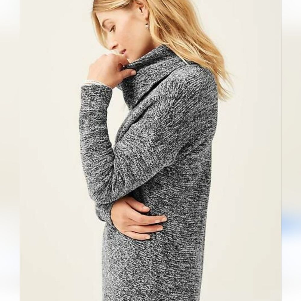 J. JILL BICONSTITUENT FIBER BLEND TURTLENECK GRAY RN 97641 SIZE M